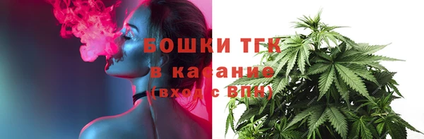 спайс Инсар