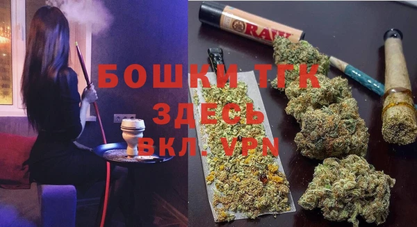 прущая мука Инта