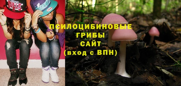 спайс Инсар