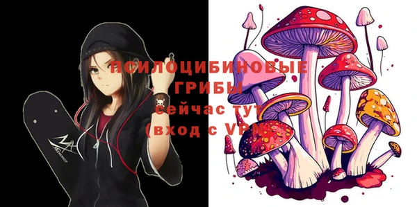 спайс Инсар