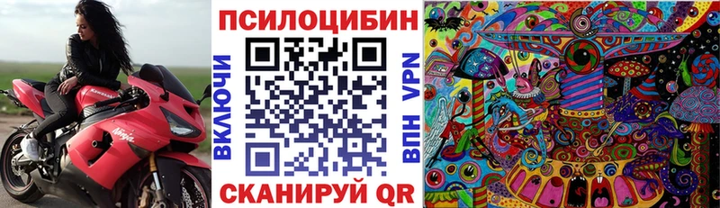 Псилоцибиновые грибы Cubensis  Купить где  Бежецк 